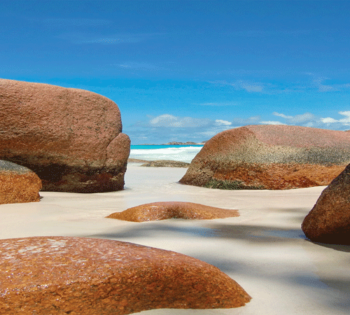 Beach offers Rocks